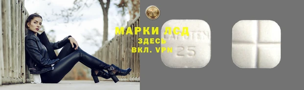 spice Билибино
