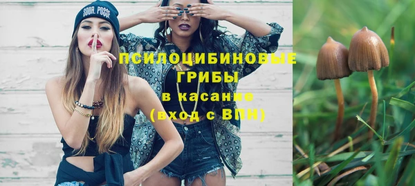 хмурый Абаза