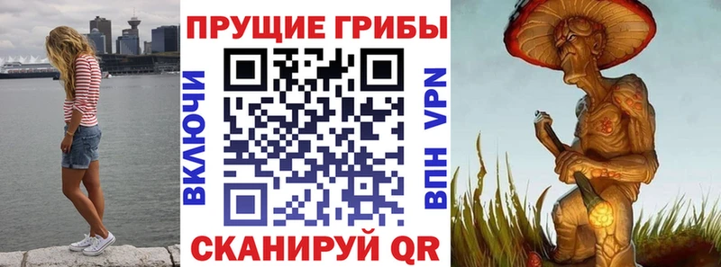 сколько стоит  Болохово  Галлюциногенные грибы Magic Shrooms 