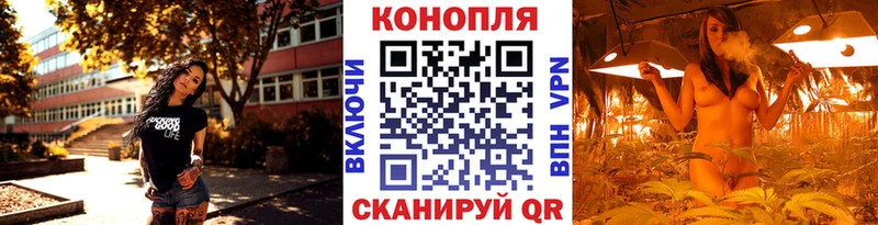 Бошки Шишки VHQ  Болохово 